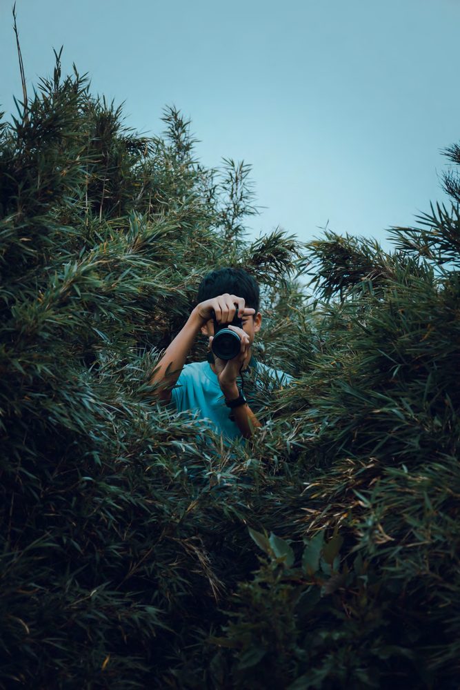 草叢中的攝影者